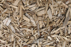 biomass boilers Camber